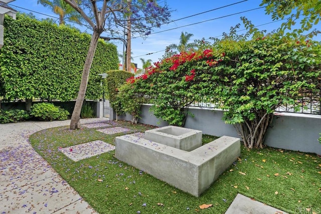 3818 Herbert St, San Diego, CA 92103 - view of yard