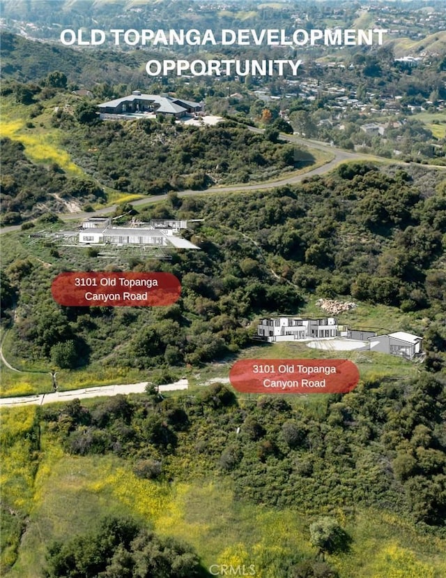 3101 Old Topanga Canyon Rd, Calabasas, CA 90290 - photo 1
