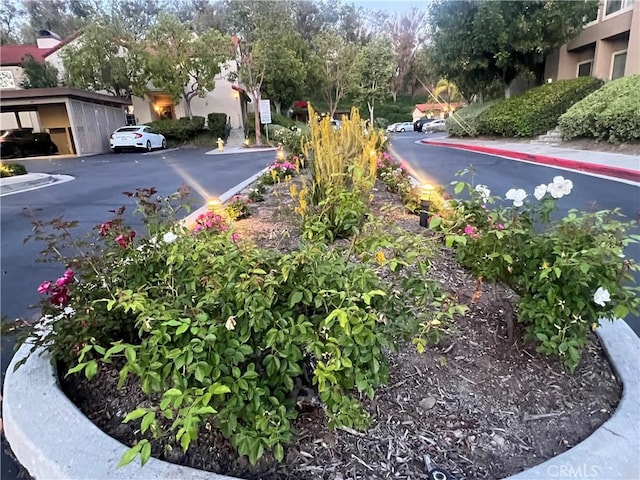 21212 Camelia Unit 46, Lake Forest, CA 92630 - view of asphalt road
