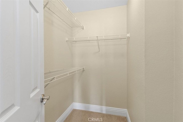 2400 San Gabriel Way Unit 205, Corona, CA 92882 - walk in closet with carpet