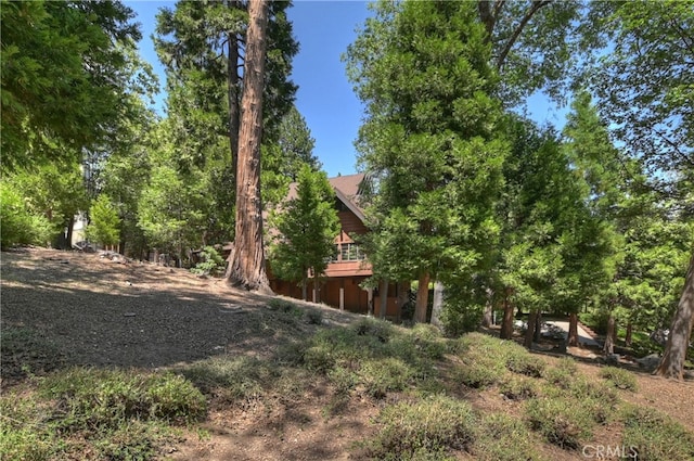 27280 Peninsula Dr, Lake Arrowhead, CA 92352 - view of yard