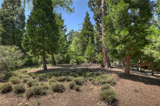 27280 Peninsula Dr, Lake Arrowhead, CA 92352 - view of local wilderness