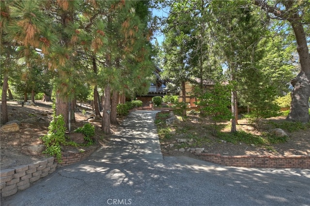 27280 Peninsula Dr, Lake Arrowhead, CA 92352 - view of asphalt driveway