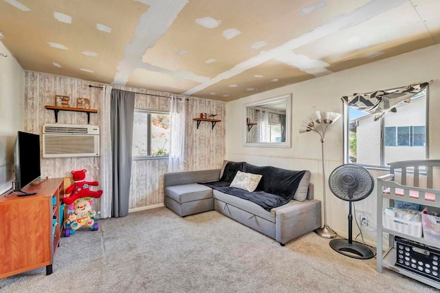 17620 Lyons Valley Rd, Jamul, CA 91935 - photo 30