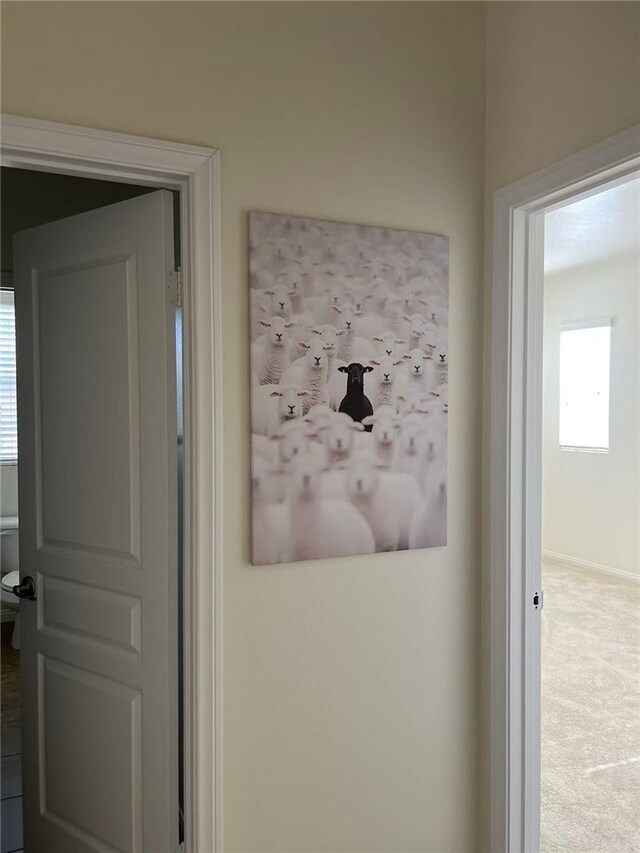 7739 Lupin St, Chino, CA 91708 - detailed view of carpet and baseboards