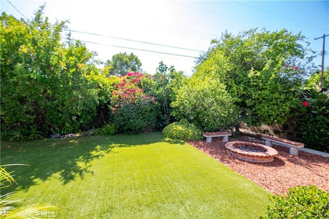 5427 Noble Ave, Sherman Oaks, CA 91411 - view of grassy yard