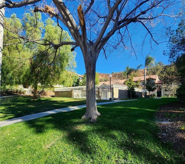 27971 Sarabande Ln Unit 230, Canyon Country, CA 91387 - view of grassy yard
