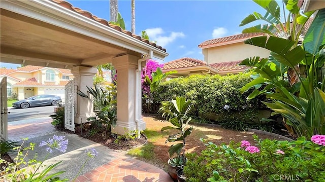 4 Salerno, Irvine, CA 92614 - view of yard
