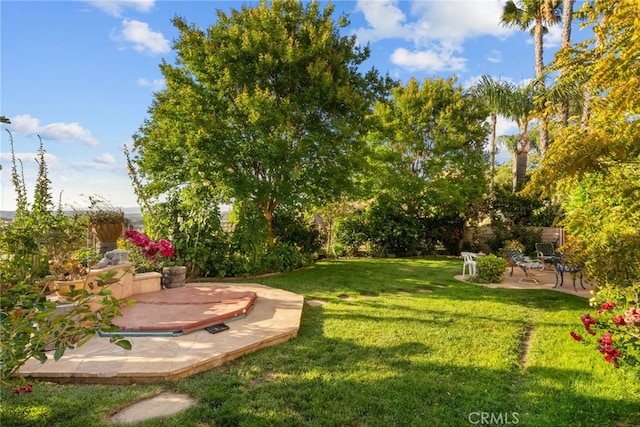 22440 Skylake Pl, Saugus, CA 91390 - view of grassy yard with a patio