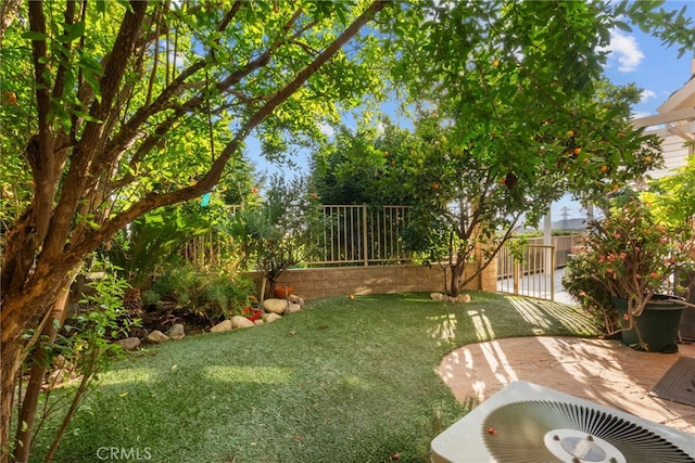 22440 Skylake Pl, Saugus, CA 91390 - view of yard with a patio
