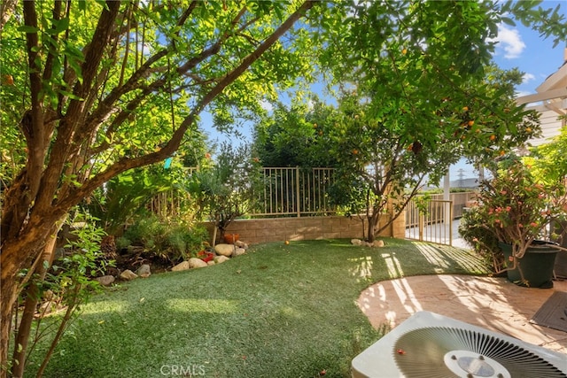 22440 Skylake Pl, Saugus, CA 91390 - view of yard featuring a patio