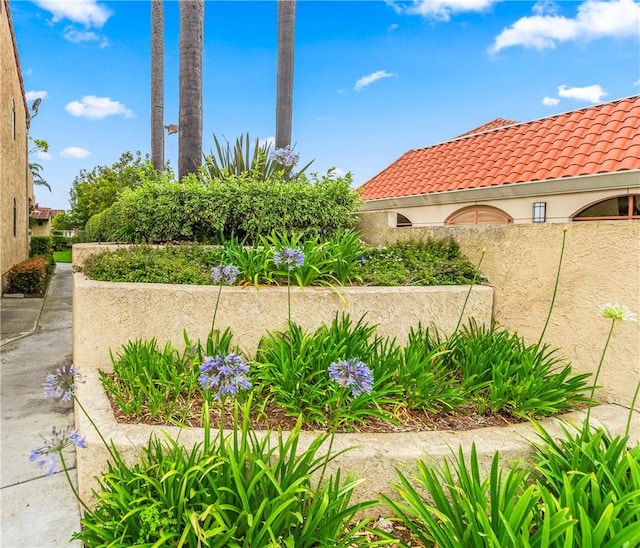 17333 Brookhurst St Unit A5, Fountain Valley, CA 92708 - photo 36
