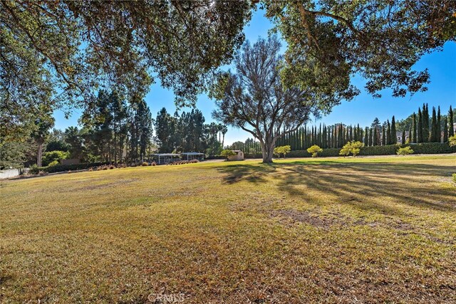 31593 Aguacate Rd, San Juan Capistrano, CA 92675 - view of grassy yard
