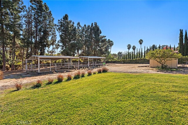 31593 Aguacate Rd, San Juan Capistrano, CA 92675 - view of grassy yard