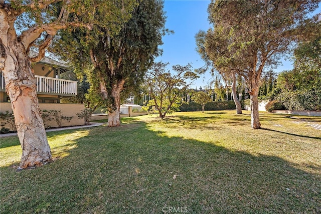 31593 Aguacate Rd, San Juan Capistrano, CA 92675 - view of green lawn