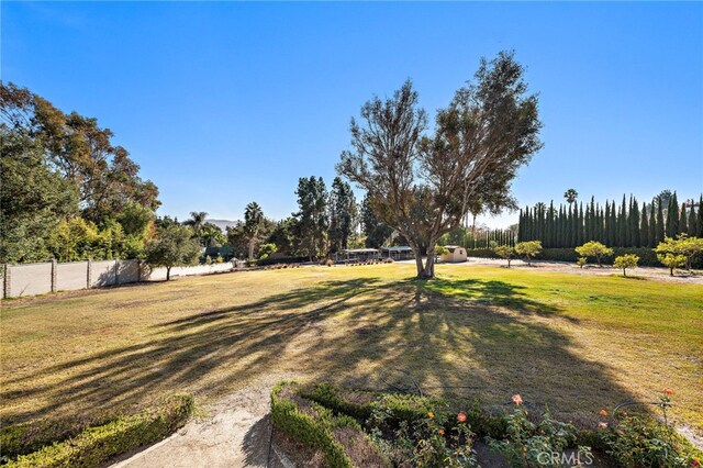31593 Aguacate Rd, San Juan Capistrano, CA 92675 - view of yard