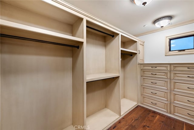 35555 Camino Capistrano, San Clemente, CA 92672 - photo 48