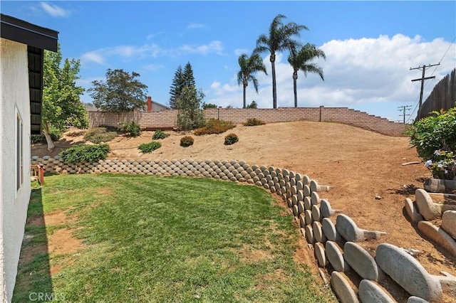 5996 Winncliff Dr, Jurupa Valley, CA 92509 - view of yard