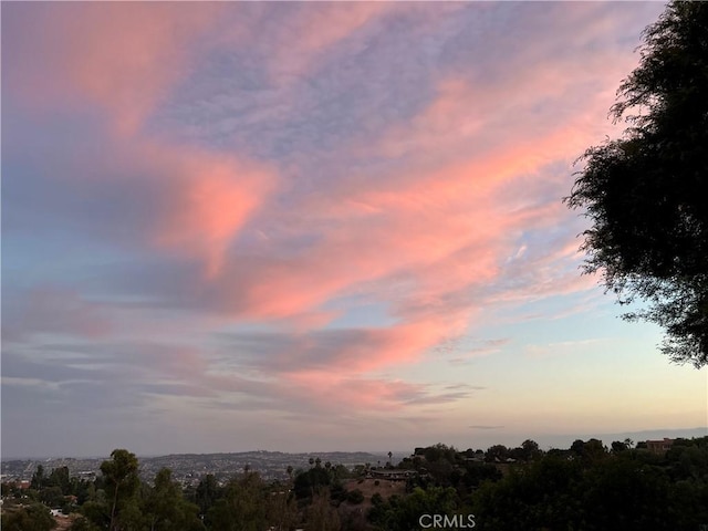 918 Dorothea Rd, La Habra Heights, CA 90631 - view of undeveloped land
