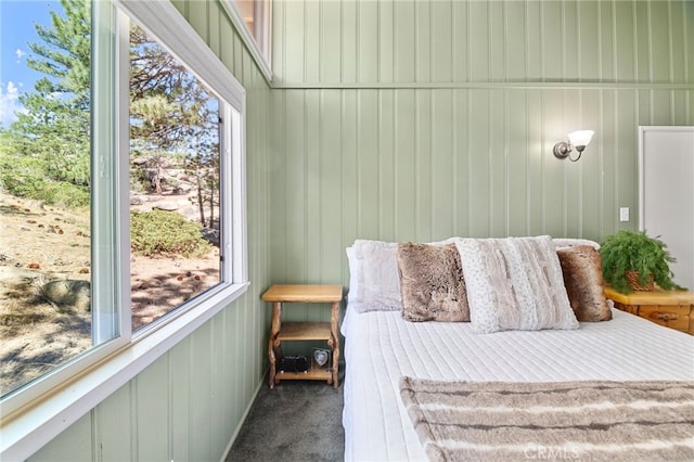 39335 Lark Rd, Big Bear Lake, CA 92315 - bedroom with carpet and multiple windows