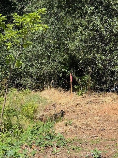 2673 Foothill Blvd, Oroville, CA 95966 - photo 7