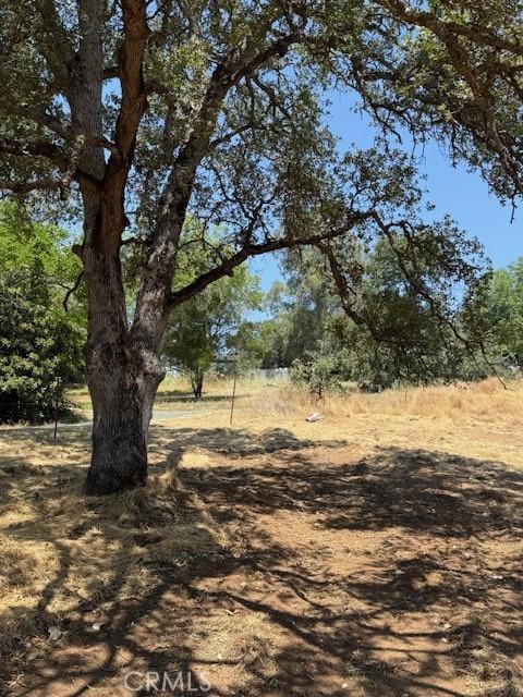 2673 Foothill Blvd, Oroville, CA 95966 - photo 5