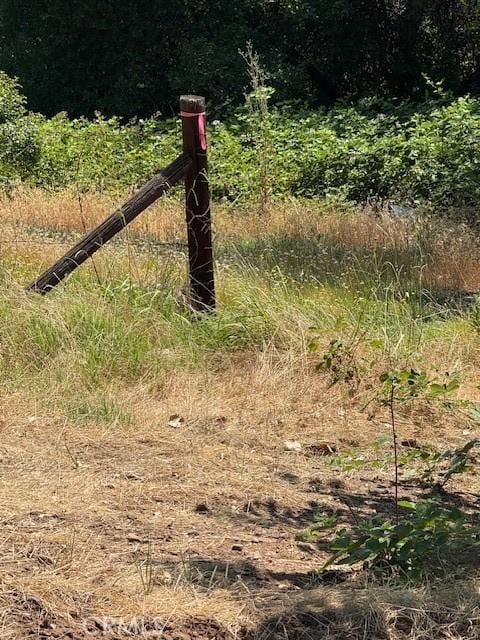 2673 Foothill Blvd, Oroville, CA 95966 - photo 10