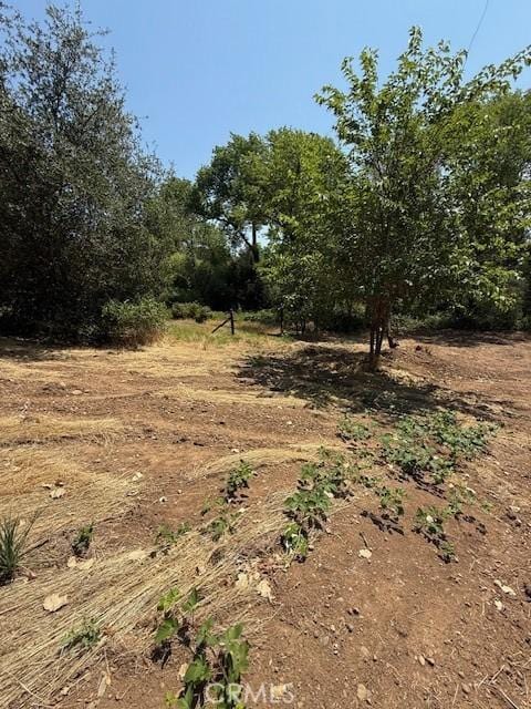 2673 Foothill Blvd, Oroville, CA 95966 - photo 3