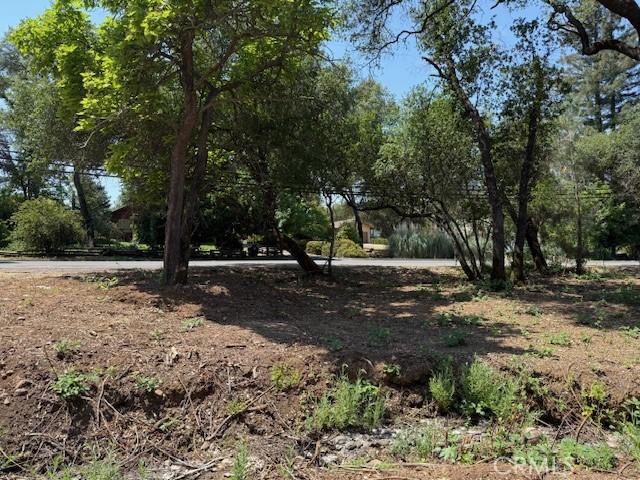 2673 Foothill Blvd, Oroville, CA 95966 - photo 6