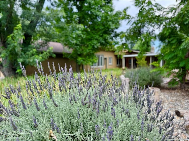8 Geneva Ln, Chico, CA 95926 - view of yard