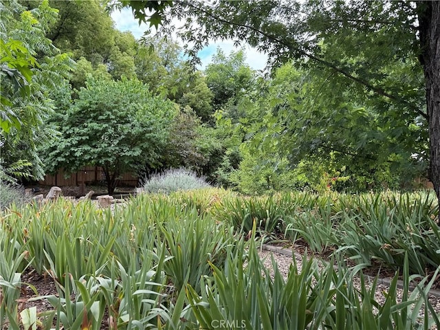 8 Geneva Ln, Chico, CA 95926 - view of local wilderness