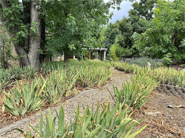 8 Geneva Ln, Chico, CA 95926 - view of yard