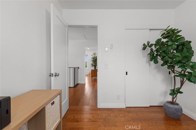 3021 S Sycamore St Unit D, Santa Ana, CA 92707 - hallway featuring hardwood / wood-style flooring and baseboards
