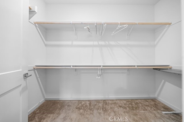 8254 Traveller St, Chino, CA 91708 - walk in closet featuring carpet floors