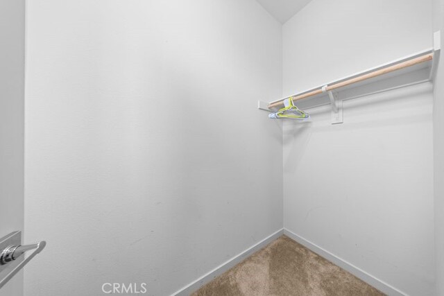 8254 Traveller St, Chino, CA 91708 - walk in closet featuring carpet