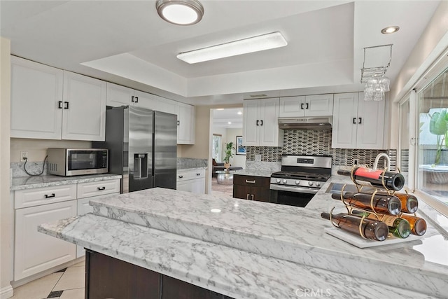 22702 Islamare Ln, Lake Forest, CA 92630 - kitchen with appliances with stainless steel finishes, under cabinet range hood, a tray ceiling, white cabinets, and recessed lighting
