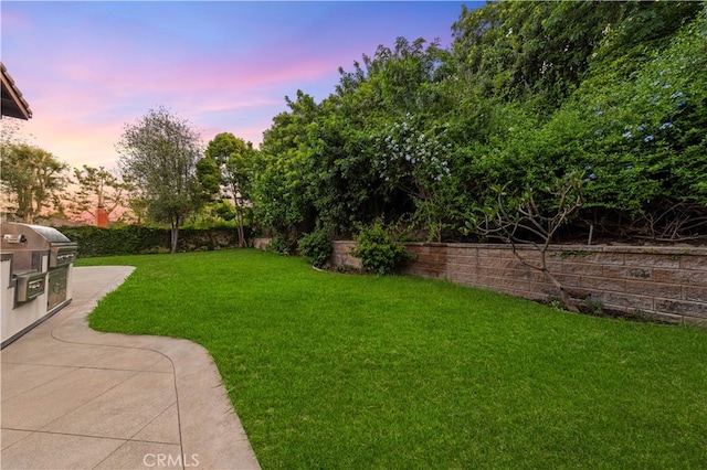 25811 Jamon Ln, Mission Viejo, CA 92691 - yard at dusk with exterior kitchen