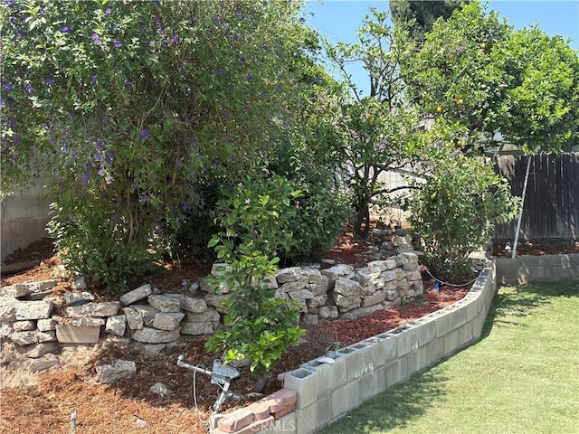2770 Cole Ave, Highland, CA 92346 - view of yard