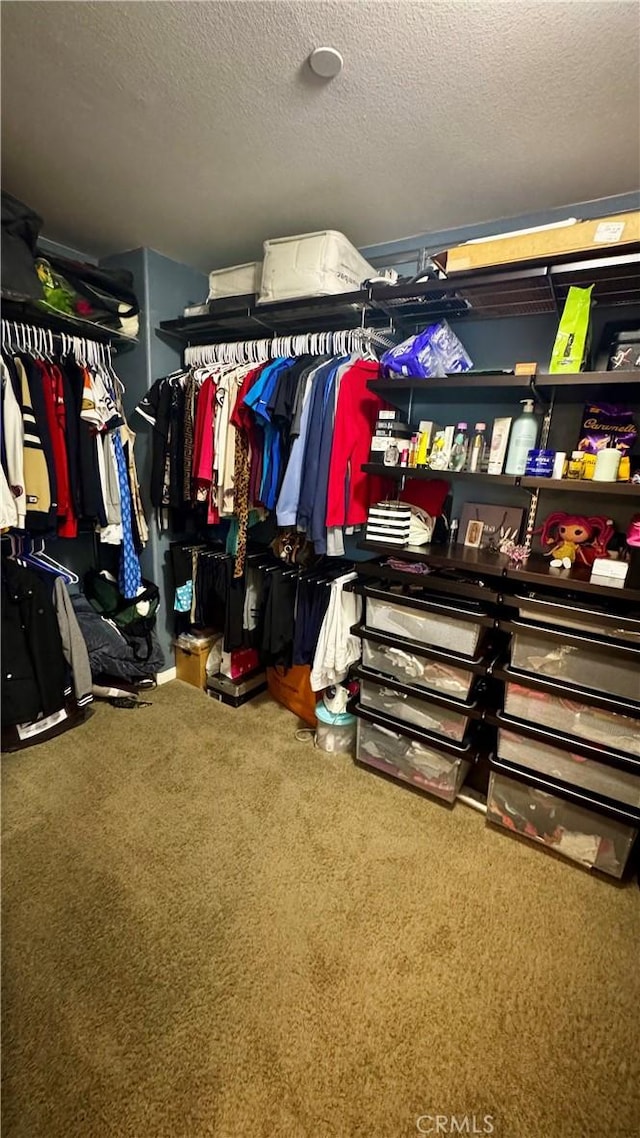 1502 Beacon, Upland, CA 91786 - walk in closet with carpet flooring