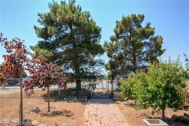 8140 Del Ct, Phelan, CA 92371 - view of gate