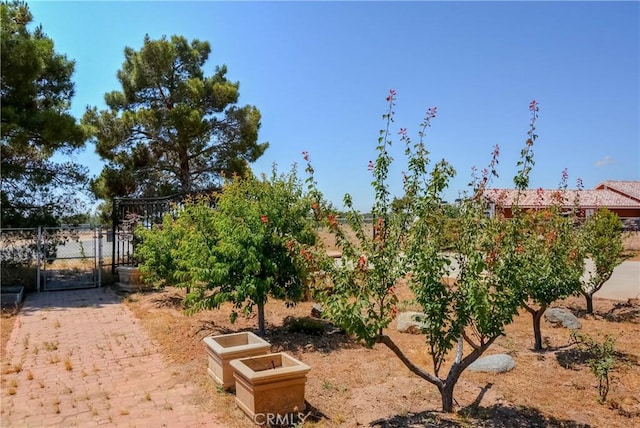 8140 Del Ct, Phelan, CA 92371 - view of yard with a gate