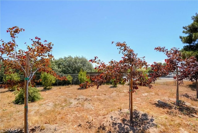 8140 Del Ct, Phelan, CA 92371 - view of yard with a view of countryside