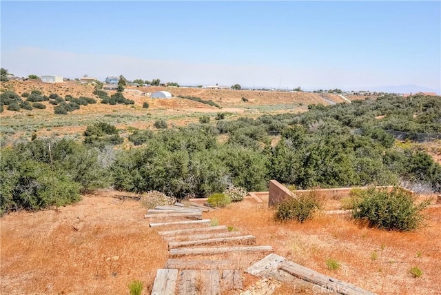 8140 Del Ct, Phelan, CA 92371 - view of yard