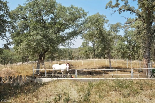 136 Parham Rd, Oroville, CA 95966 - photo 18