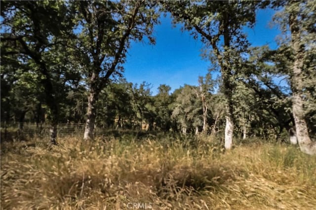 136 Parham Rd, Oroville, CA 95966 - photo 15