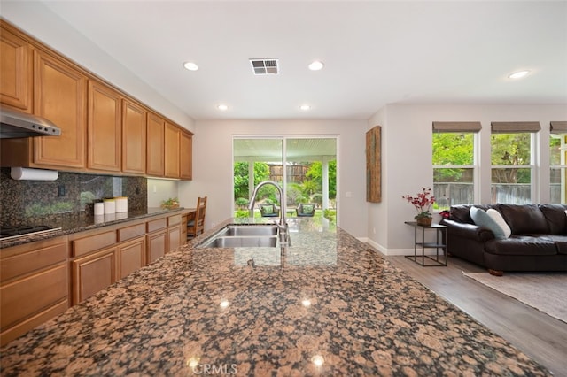 28978 Williston Ct, Temecula, CA 92591 - kitchen featuring wood finished floors, decorative backsplash, stainless steel gas stovetop, open floor plan, and under cabinet range hood