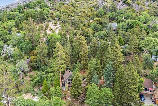 6429 Cedar Ave, Angelus Oaks, CA 92305 - aerial overview of property's location with a forest
