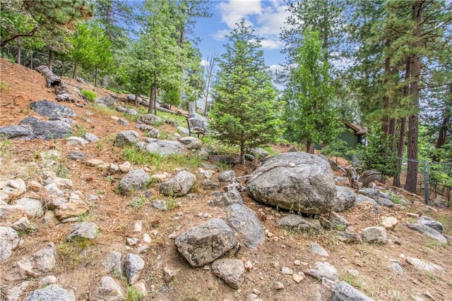 6429 Cedar Ave, Angelus Oaks, CA 92305 - view of yard