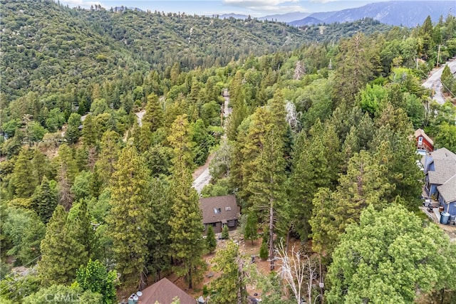 6429 Cedar Ave, Angelus Oaks, CA 92305 - aerial overview of property's location with a heavily wooded area and a mountain backdrop