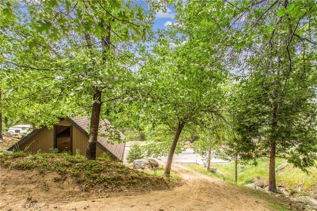 6429 Cedar Ave, Angelus Oaks, CA 92305 - view of yard